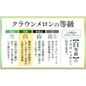 ふるさと納税 メロン メロン青肉 静岡県 浜松...の詳細画像2