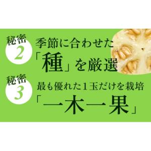 ふるさと納税 メロン メロン青肉 静岡県 浜松...の詳細画像4