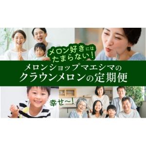 ふるさと納税 メロン メロン青肉 静岡県 浜松...の詳細画像5
