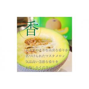 ふるさと納税 メロン メロン青肉 静岡県 浜松...の詳細画像3