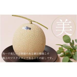 ふるさと納税 メロン メロン青肉 静岡県 浜松...の詳細画像4