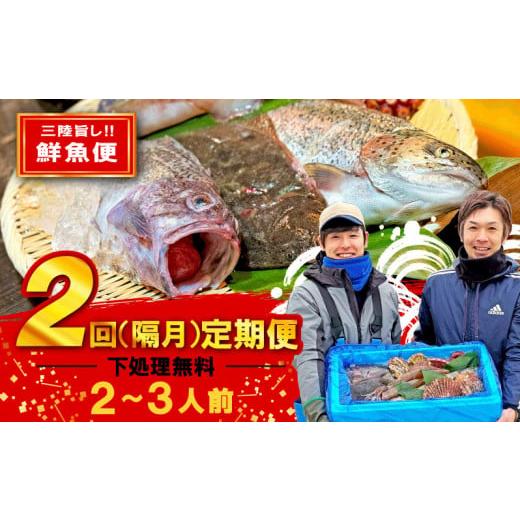 ふるさと納税 岩手県 大船渡市 「下処理あり」【定期便／隔月全2回】【産地直送】三陸旨し！季節の鮮魚...