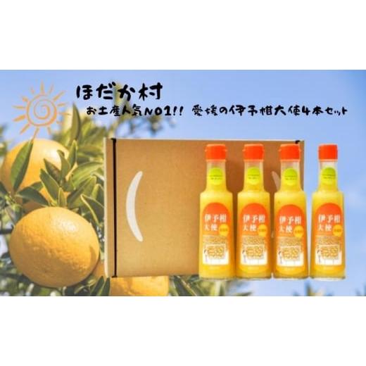 ふるさと納税 愛媛県 東温市 お土産人気NO1！！ 愛媛の伊予柑大使4本セット [No.5303-0...