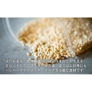 ふるさと納税 雑穀 愛媛県 東温市 押しはだか...の詳細画像5