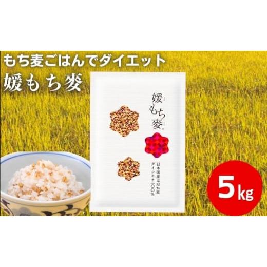 ふるさと納税 雑穀 愛媛県 東温市 媛もち麥5kgセット＋押しはだか麦300g／もち麦 麦ごはん 雑...