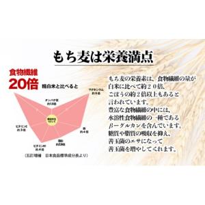 ふるさと納税 雑穀 愛媛県 東温市 媛もち麥5...の詳細画像3