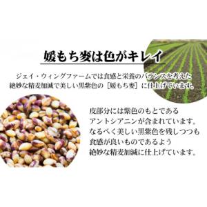 ふるさと納税 雑穀 愛媛県 東温市 媛もち麥5...の詳細画像4