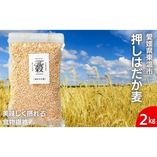 ふるさと納税 雑穀 愛媛県 東温市 押しはだか麦 計2kg（1kg×2袋セット） No.5303-0...