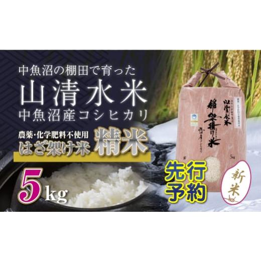 ふるさと納税 新潟県 十日町市 [No.5340-1396]【新米先行受付】新潟県魚沼産コシヒカリ◇...