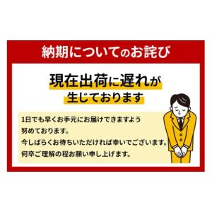 ふるさと納税 雑貨・日用品 秋田県 秋田市 ト...の詳細画像3