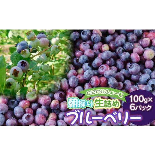 ふるさと納税 山形県 鶴岡市 【令和6年産 先行予約】にこにこふぁーむの朝採り生詰めブルーベリー10...