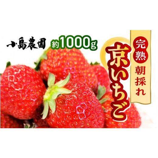 ふるさと納税 京都府 亀岡市 【数量限定】高級 京いちご 内容量 約1,000g（250g 4パック...