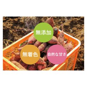 ふるさと納税 干し芋 茨城県 取手市 山田のや...の詳細画像4