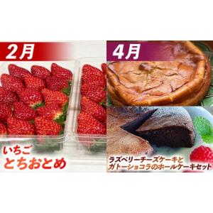 ふるさと納税 りんご 山形県 山形市 定期便8...の詳細画像2