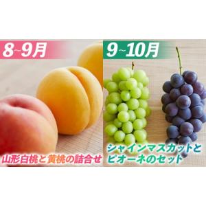 ふるさと納税 りんご 山形県 山形市 定期便8...の詳細画像4