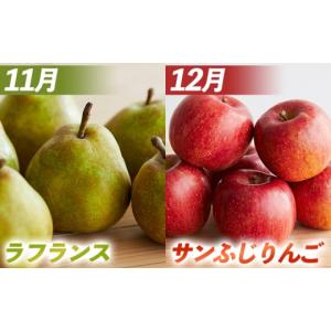 ふるさと納税 りんご 山形県 山形市 定期便8...の詳細画像5