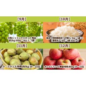 ふるさと納税 いちご 山形県 山形市 定期便1...の詳細画像4