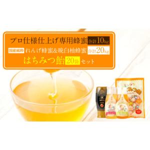 ふるさと納税 加工品等 はちみつ 熊本県 八代市 プロ仕様仕上げ専用蜂蜜 れんげ 晩白柚蜂蜜 蜂蜜あめ 各20本ずつ