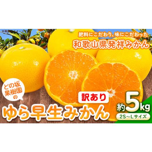 ふるさと納税 和歌山県 日高町 訳あり ゆら 早生 みかん 約 5kg (2S〜Lサイズ) どの坂果...