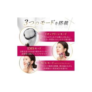 ふるさと納税 美容 岐阜県 羽島市 Miss ...の詳細画像3