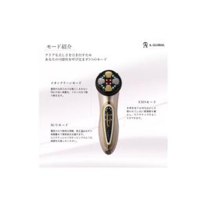 ふるさと納税 美容 岐阜県 羽島市 Miss ...の詳細画像3