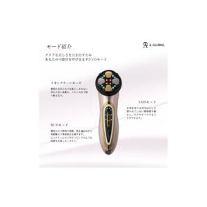 ふるさと納税 美容 岐阜県 羽島市 Miss ...の詳細画像3