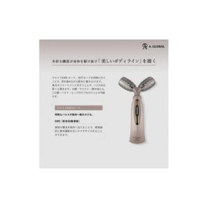 ふるさと納税 美容 岐阜県 羽島市 Dr.Ar...の詳細画像3
