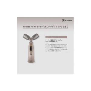 ふるさと納税 美容 岐阜県 羽島市 Dr.Ar...の詳細画像4
