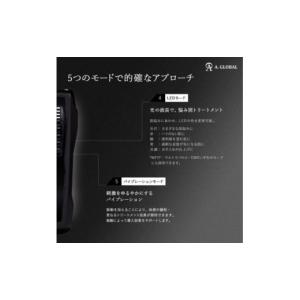 ふるさと納税 美容 岐阜県 羽島市 EXZ H...の詳細画像4