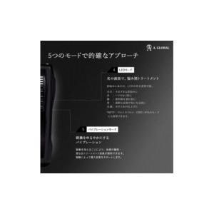 ふるさと納税 美容 岐阜県 羽島市 EXZ H...の詳細画像4