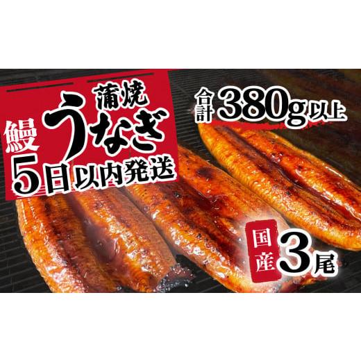 ふるさと納税 茨城県 八千代町 【訳あり】国産うなぎ蒲焼き3尾セット(350g以上)　大きさ不揃い ...