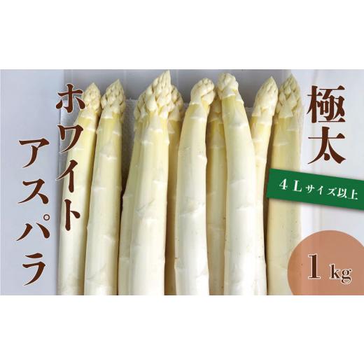 ふるさと納税 野菜類 アスパラガス 北海道 栗山町 北海道栗山町産 極太ホワイトアスパラ（4Lサイズ...
