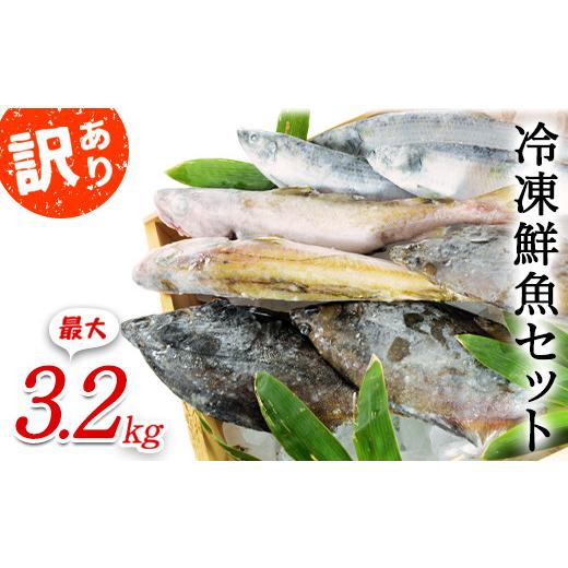 ふるさと納税 北海道 鹿部町 【2024年8月下旬発送】北海道産 冷凍鮮魚セット 最大3.2kg 「...