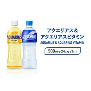 ふるさと納税 水・ミネラルウォーター 500mL〜999mL 宮崎県 えびの市 アクエリアス ビタミン アクエリアス PET 500ml×24本×各1ケース セット 合計48本 2ケー…