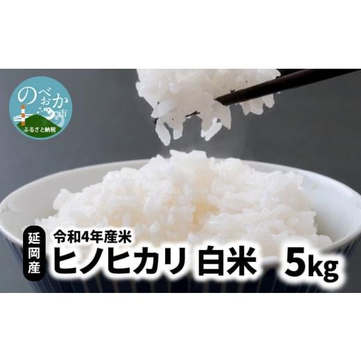 ふるさと納税 宮崎県 延岡市 新米 令和5年産米 お米 白米 ヒノヒカリ 5kg 延岡産　N091-...