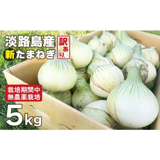 ふるさと納税 兵庫県 淡路市 淡路島産 新玉ねぎ 5kg【栽培期間中、無農薬栽培】【訳あり】