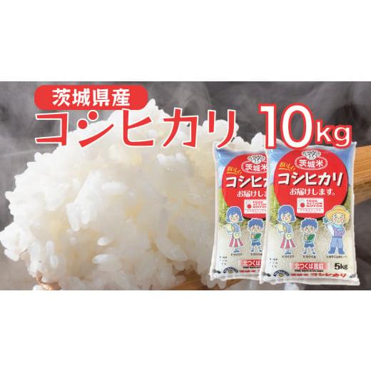 ふるさと納税 茨城県 筑西市 【 JA 北つくば 】 茨城県産 コシヒカリ 10kg 令和5年産 農...