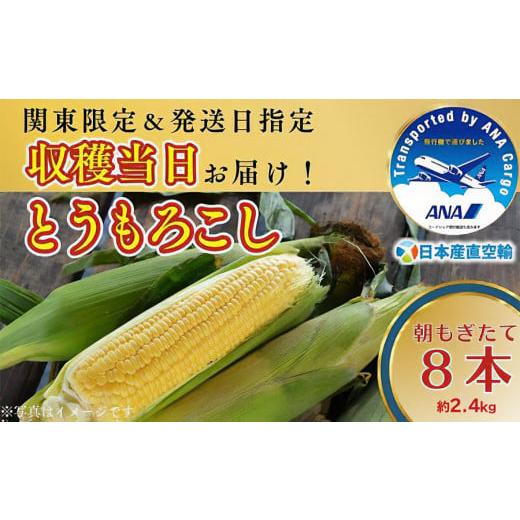 ふるさと納税 山形県 鶴岡市 【8月13日配送】限界鮮度！収穫当日に「産直空輸」でお届け！朝採れとう...