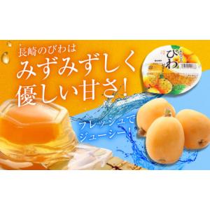 ふるさと納税 菓子 ゼリー 長崎県 - 全12...の詳細画像3