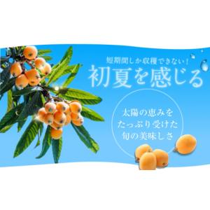 ふるさと納税 菓子 ゼリー 長崎県 - 全12...の詳細画像4