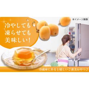 ふるさと納税 菓子 ゼリー 長崎県 - 全12...の詳細画像5