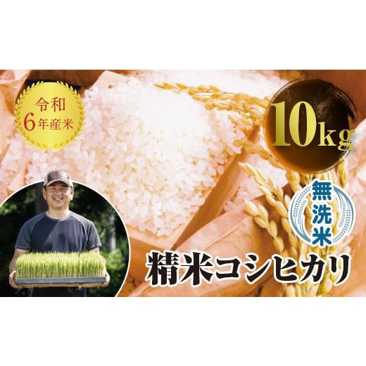 ふるさと納税 福島県 西会津町 令和6年産 JAS認定 有機栽培米 西会津産米 コシヒカリ 無洗米 ...