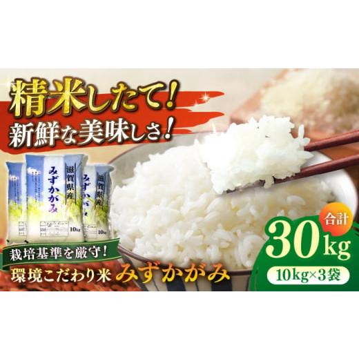 ふるさと納税 滋賀県 長浜市 穀物検定協会　食味ランキング最高『特A』受賞米滋賀県産環境こだわり米み...