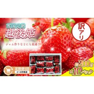 ふるさと納税 いちご 新潟県 上越市 先行予約 定期便 5回 2〜6月発送 訳あり越後姫 約200g×10定期配送 越後姫 えちごひめ 苺 いちご 訳あり 新潟 苺の花こと…