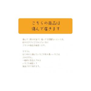 ふるさと納税 いちご 新潟県 上越市 先行予約...の詳細画像3