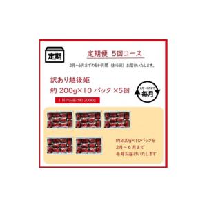 ふるさと納税 いちご 新潟県 上越市 先行予約...の詳細画像4