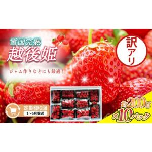 ふるさと納税 いちご 新潟県 上越市 先行予約 ...の商品画像