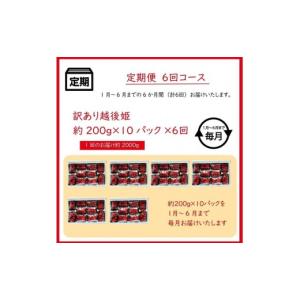 ふるさと納税 いちご 新潟県 上越市 先行予約...の詳細画像4