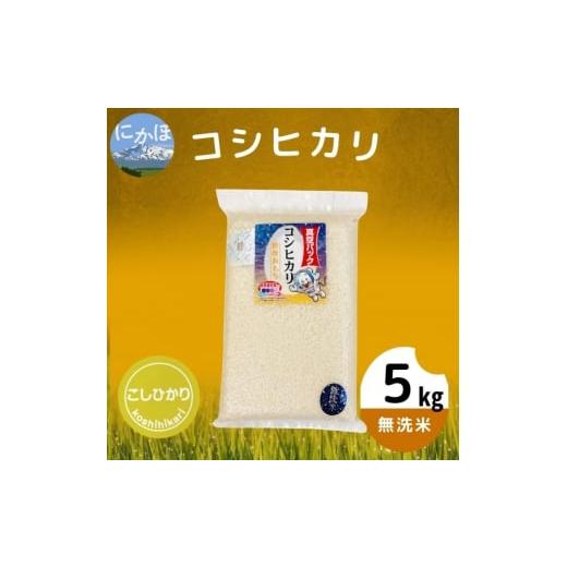 ふるさと納税 秋田県 にかほ市 【新生活応援】【令和5年産】【無洗米】コシヒカリ5kg×1