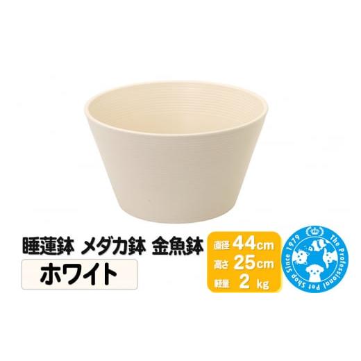 ふるさと納税 雑貨・日用品 群馬県 邑楽町 睡蓮鉢 メダカ鉢 金魚鉢 ホワイト 直径44cm 高さ2...